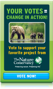 Explore & Vote