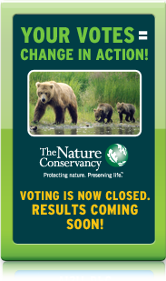 Explore & Vote
