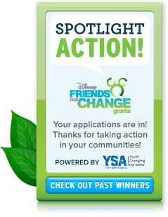 Take Action!
