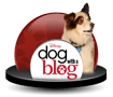 Dog With A Blog