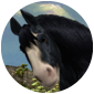 HorseWorker's Avatar