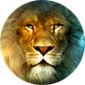 ellon's Avatar
