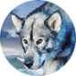 wolf_girl_8's Avatar