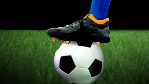 Shoot and score in this goal kicking game!