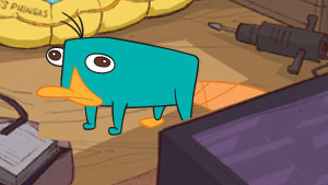 Catch Perry when he appears.