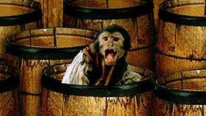 Catch Jack the Monkey before the flame flickers out!