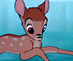 Watch ''Bambi on Ice''