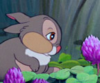 Watch ''Thumper's Breakfast''