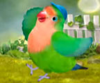 Music Video (Muffin Song)