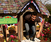 Walt Disney Parks: My Yard Goes Disney: Fantasyland